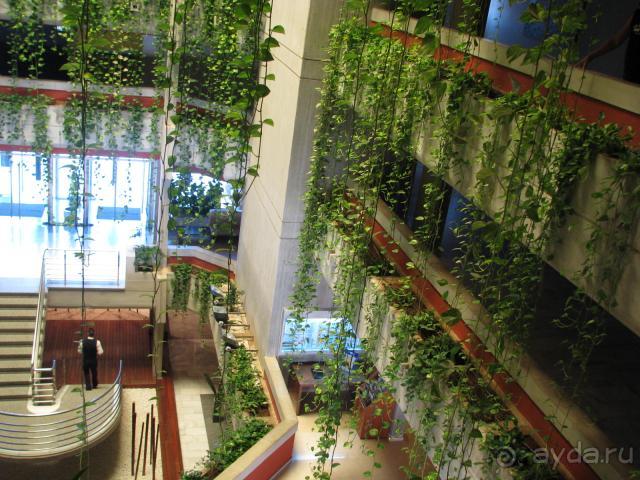 фото Hipotels Mediterraneo Club (ex.Mediterraneio Blau)