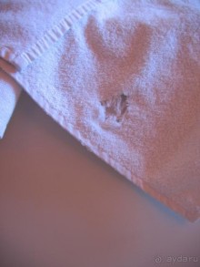 фото Sydney 2000