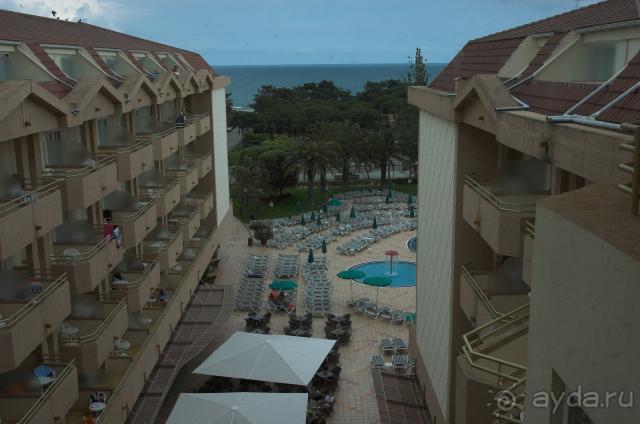 фото Florida Park