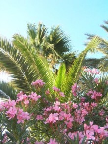 Две недели СЧАСТЬЯ мамочек и деток!!!