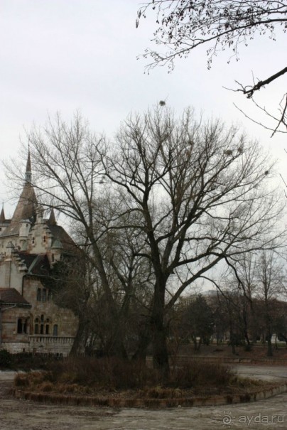 Альбом отзыва "Венгрия-страна открытие"