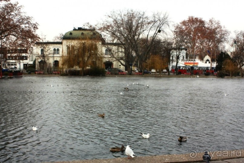 Альбом отзыва "Венгрия-страна открытие"