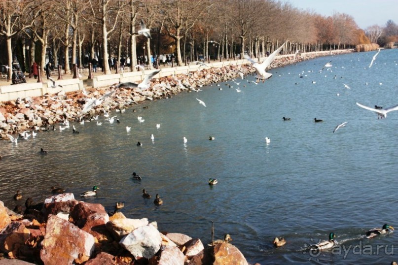 Альбом отзыва "Венгрия-страна открытие"