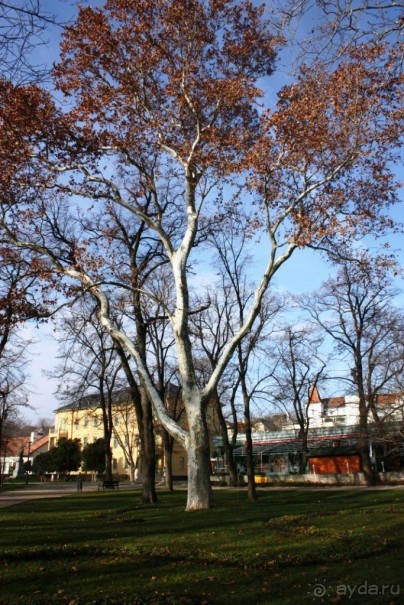 Альбом отзыва "Венгрия-страна открытие"