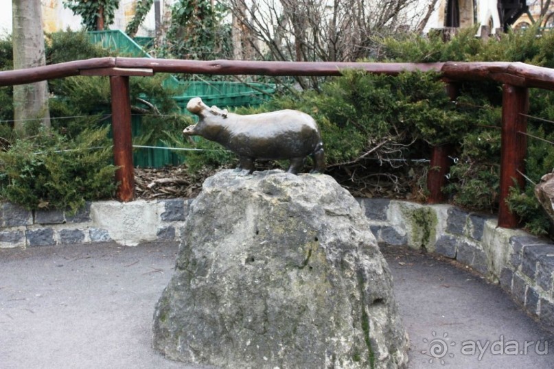 Альбом отзыва "Венгрия-страна открытие"