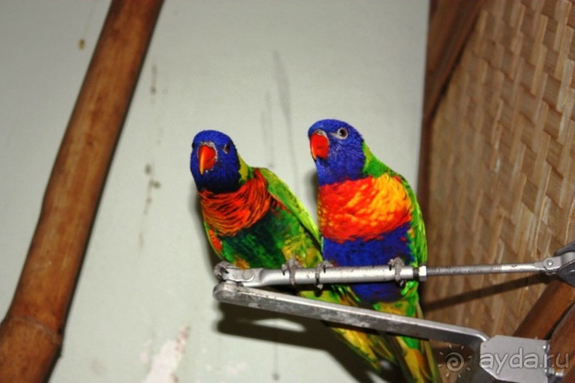 Альбом отзыва "Венгрия-страна открытие"