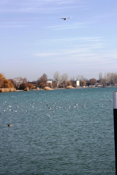 Альбом отзыва "Венгрия-страна открытие"