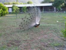 Seker Resort