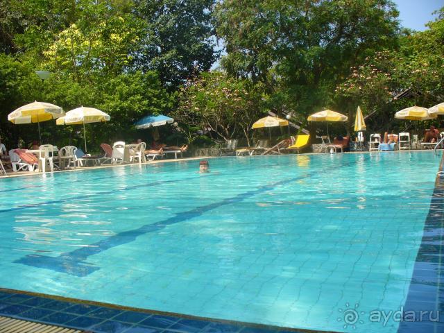 фото Pattaya Garden