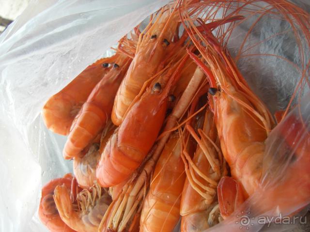 фото Pattaya Garden