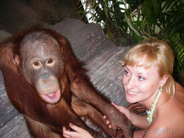 фото Pattaya Garden