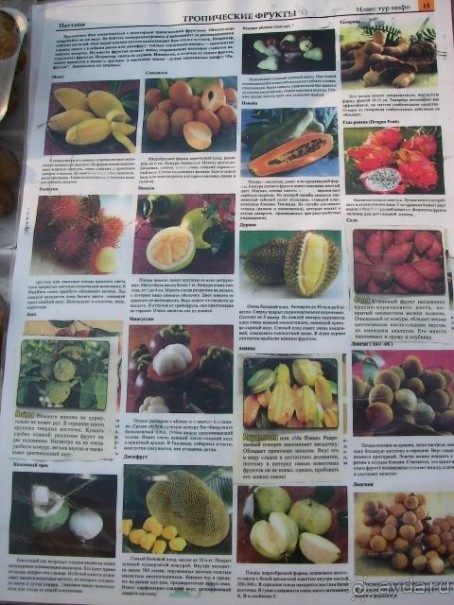 фото Pattaya Garden