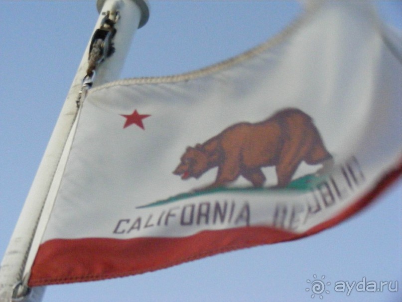 САН-Фран--пригород-Уолнут-Криик-парк