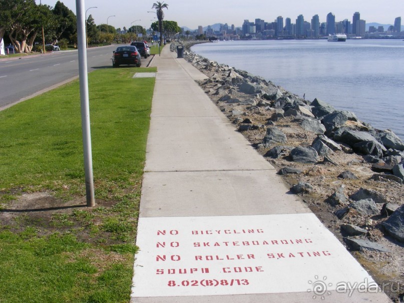 Сан-Диего-утро воскр-город любимцев-собак-только пешком и с собаками