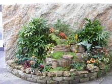 Сан-Франциско парк Golden Gate. Академия цветов- павильон с бабочками