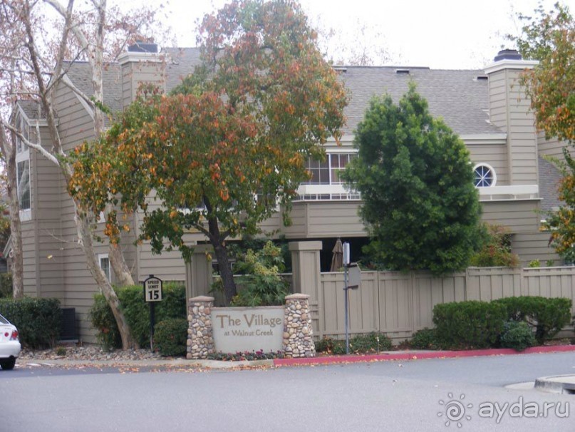 САН-Фран--пригород-Уолнут-Криик-выставка-кактусов