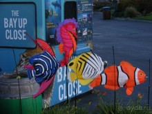 САН-Фран--пирс 39