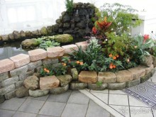 Сан-Франциско парк Golden Gate. Академия цветов