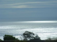 дорога в Сан-Диего- школьники тоже куда то едут