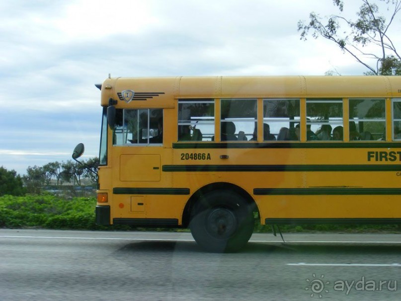 Калифорния в день Благодарения