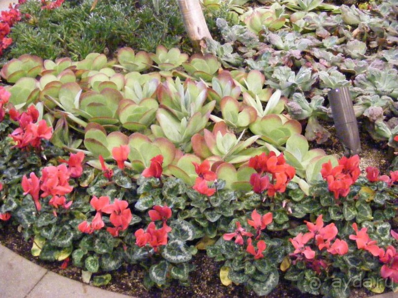 Лос-Анжелес центр