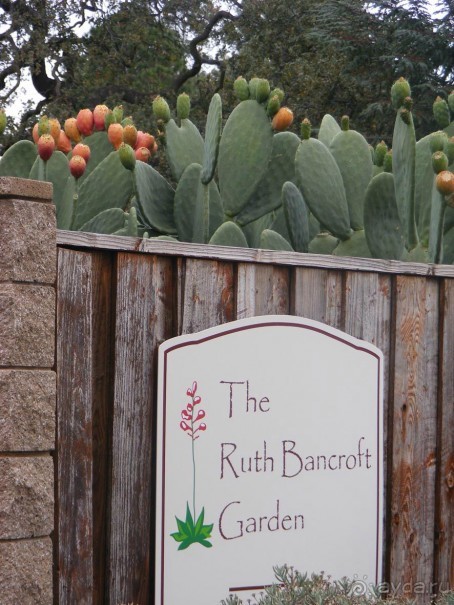 САН-Фран--пригород-Уолнут-Криик-расписание автобусов к Барту