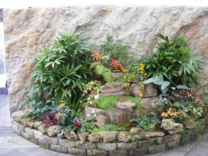 Сан-Франциско парк Golden Gate. Академия цветов- павильон с бабочками