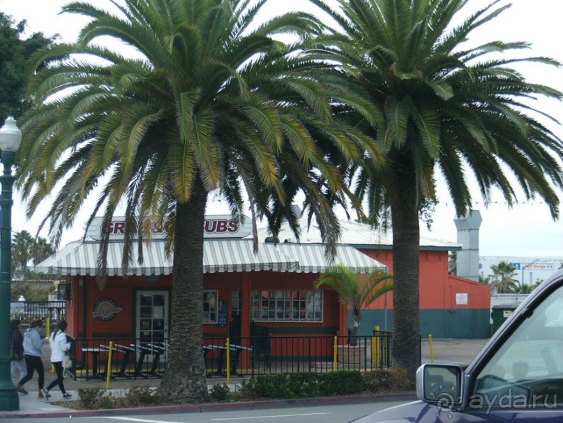 дорога в Сан-Диего