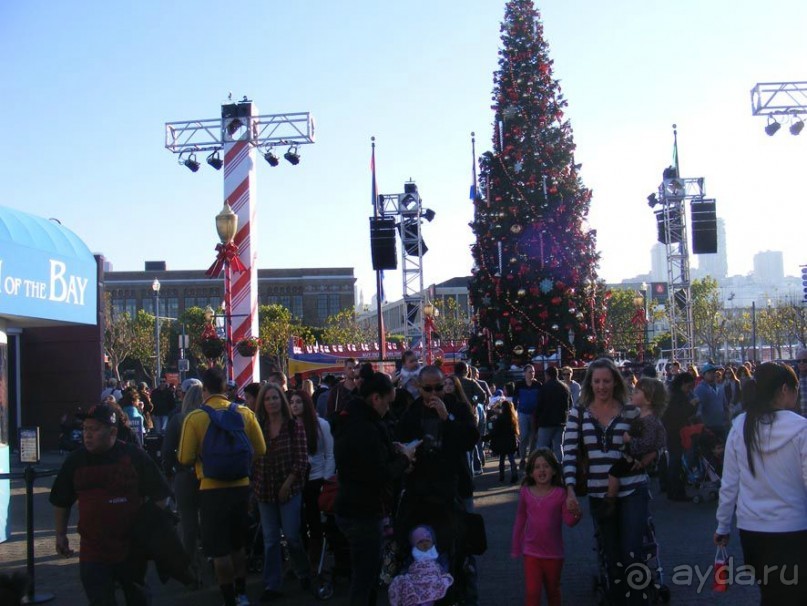 САН-Фран--пирс 39