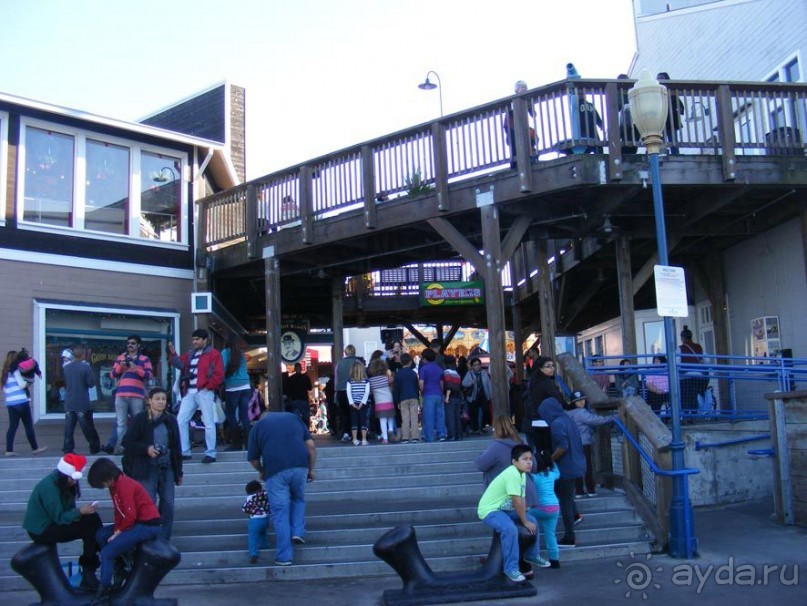 САН-Фран--пирс 39