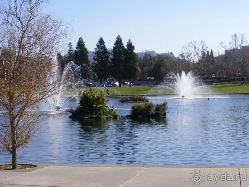 САН-Фран--пригород-Уолнут-Криик