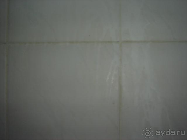 отель Форест Парк а ля совок для быдла