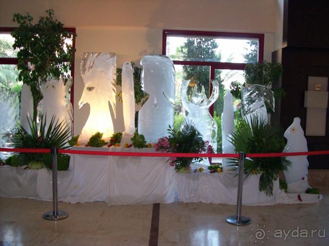 фото Бастион