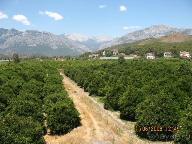 отдых в июне 2008