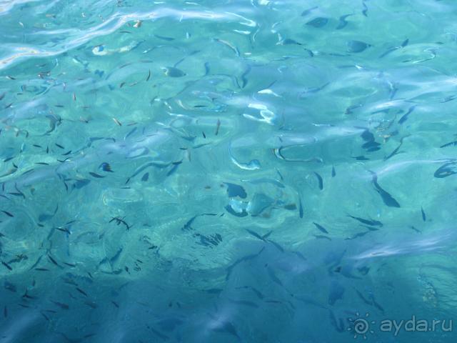 фото Club Marco Polo