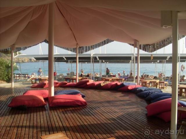 фото Sealife Buket Beach 