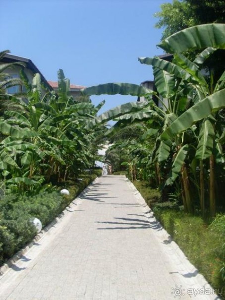 Отличный отель для семейного отдыха