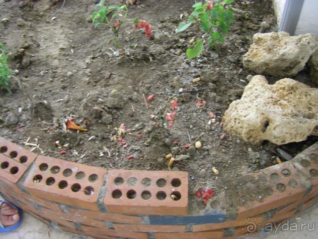 фото Sural Hotel