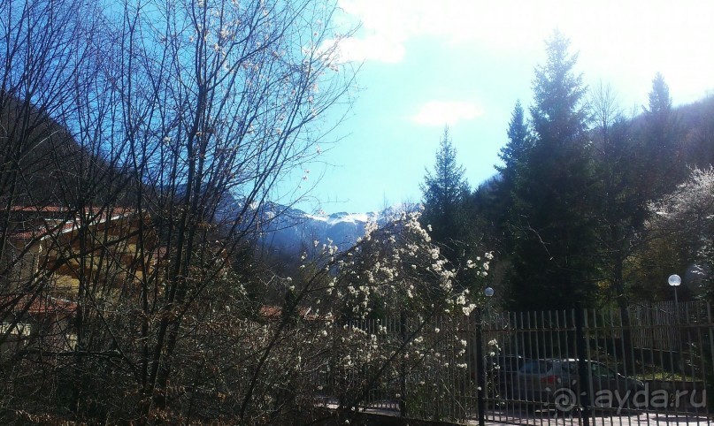 Замечательный отель Diva на чудесном курорте Чифлик