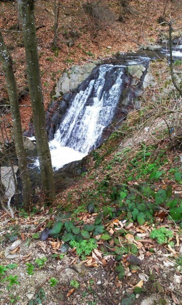 Замечательный отель Diva на чудесном курорте Чифлик