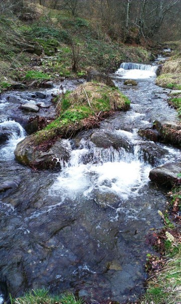 Замечательный отель Diva на чудесном курорте Чифлик