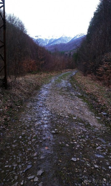 Замечательный отель Diva на чудесном курорте Чифлик