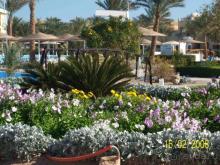 территория