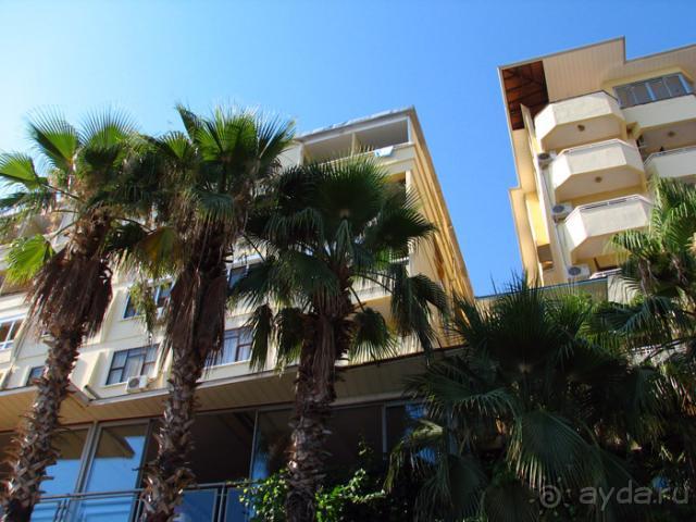 фото Palmera Kleopatra Beach