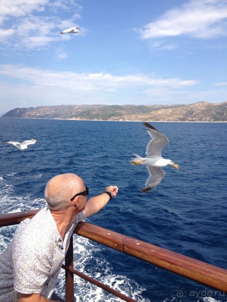 Кормим чаек на борту Menia Maria