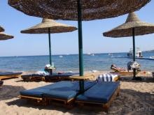 Жадный хозяин 2