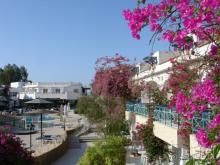 Жадный хозяин 2