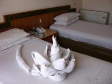 Жадный хозяин 2