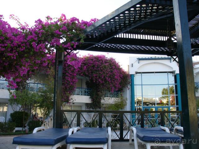 Вид на ресепшен с бассейна