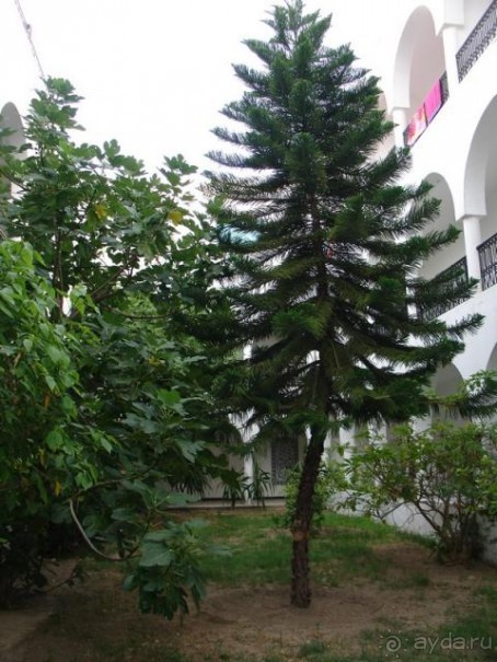 Один из двориков